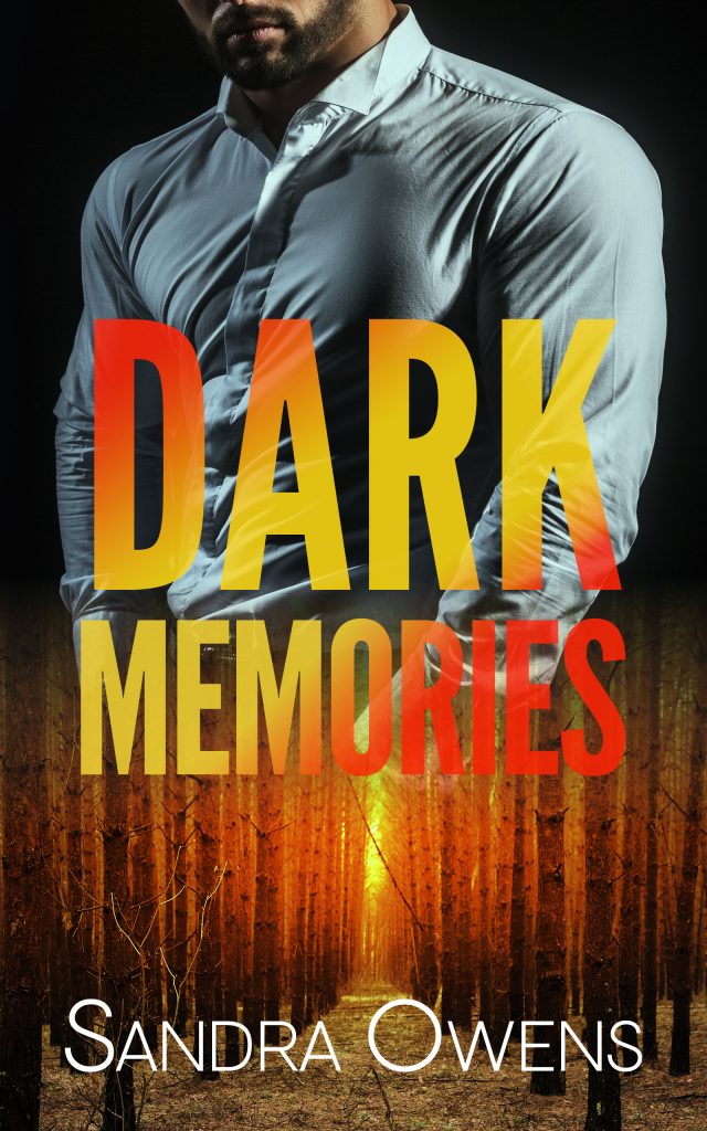 Book Cover: Dark Memories